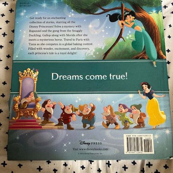Disney Princess Storybook Collection - Picture 2 of 6